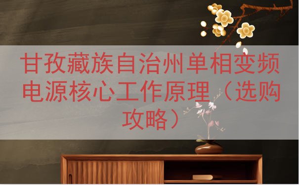 甘孜藏族自治州单相变频电源核心工作原理（选购攻略）